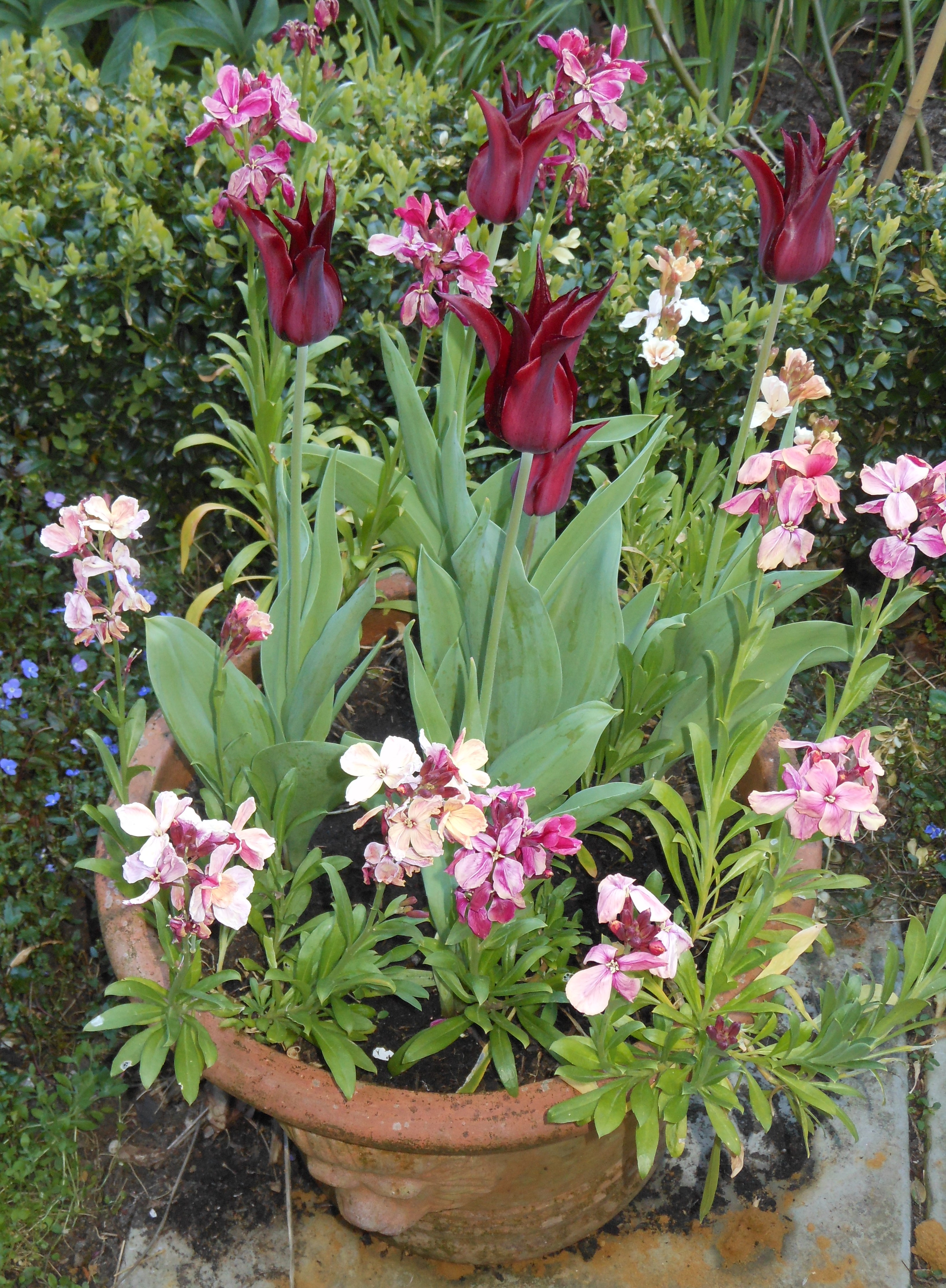Blog/April 20 Blog pic 7